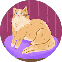 kiki profile picture